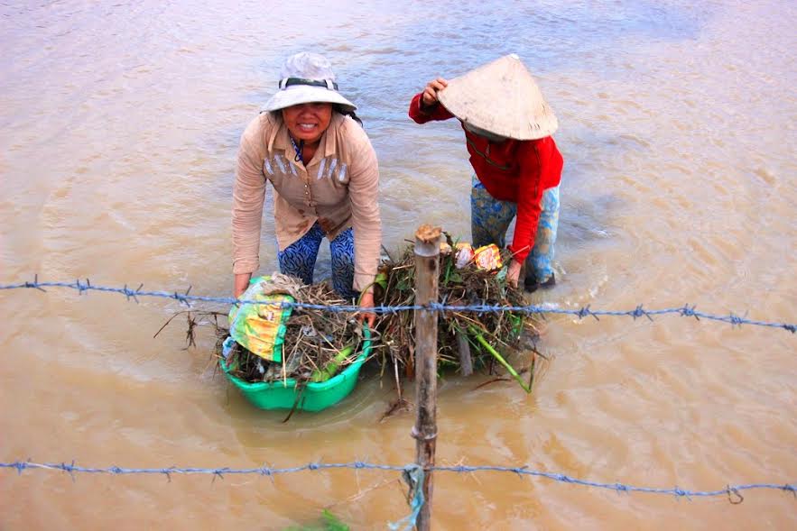 Bình[-]Định:[-]Mai[-]Tết[-]dính[-]đầy[-]bao[-]ni[-]lông[-]sau[-]lũ,[-]nông[-]dân[-]khóc[-]ròng